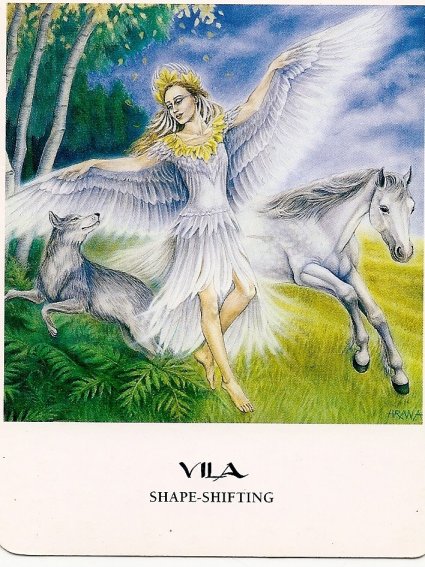 [Vila+-+Shape+Shifting.jpg]